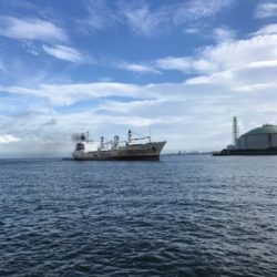 なんとか、釣れた。