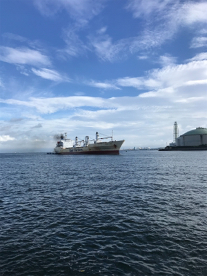 なんとか、釣れた。