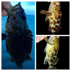 哀しみのレクチャーアジング