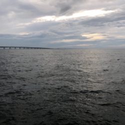 ジグサビキのちワインドからの花火