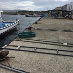 またまたアジング(1時間)