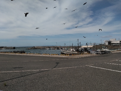 またまた海上釣堀オーパ！