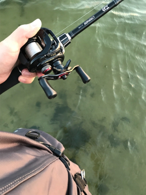 朝マズメトップ