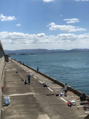 激渋の長期戦の末