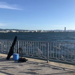 太刀魚連チャン