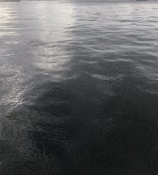 足元シーバスと…