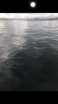 足元シーバスと…