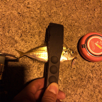 ナイトアジング2