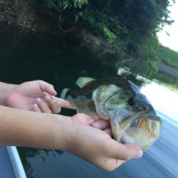 2か月ぶりの桜池