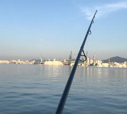 ヘッドハングドチーコシ