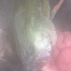 連休最終日に記録更新♪