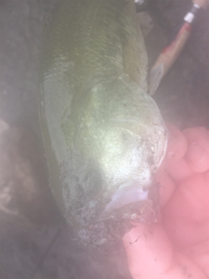 連休最終日に記録更新♪