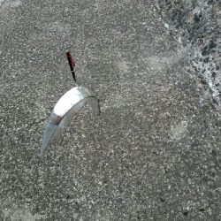 サゴタチちゃいちー