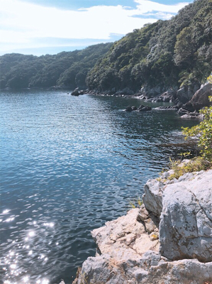 トップでヒラゴ