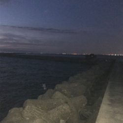 太刀魚にチャレンジ！