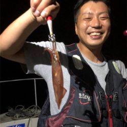 泉南イカメタルゲーム