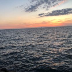 人工島でライトショアとワインド