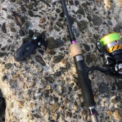 アジングとエギング