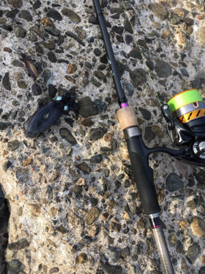 アジングとエギング