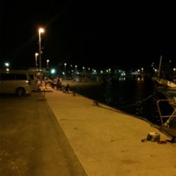 イカパラダイス