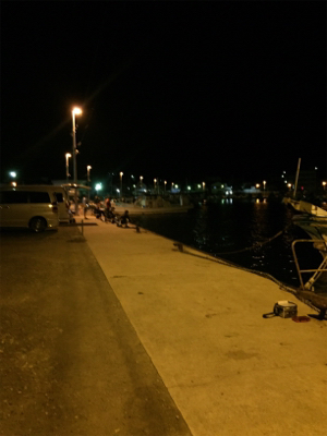 イカパラダイス