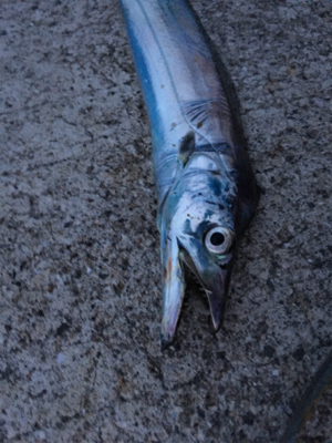 アタリはあるけど