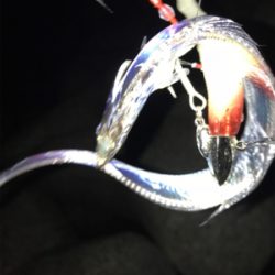 小さいけど、プチ爆発!