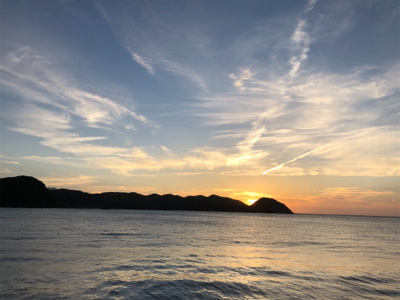 初のヒラスズキ