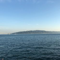 今日の、ケンサキパターン