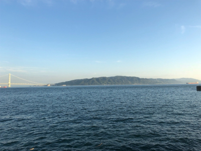 今日の、ケンサキパターン