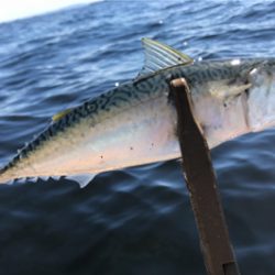 大津にてボート