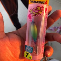 大阪湾 イカメタル ゲーム 大阪湾 オーシャンズ!