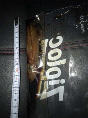 やっと1杯σ(^_^;)