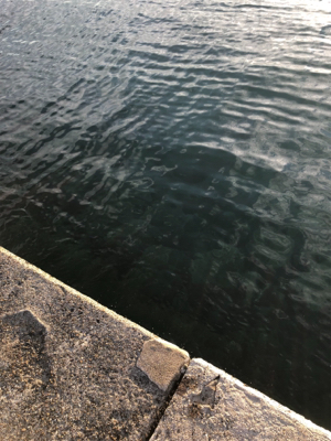 まだまだ小さいです