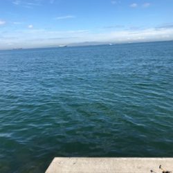 エギングロッドでメタルマル投げたら