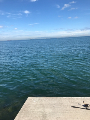 エギングロッドでメタルマル投げたら