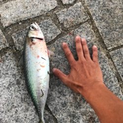 初めての淡路島