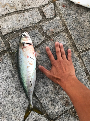 初めての淡路島