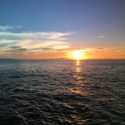 小さい、、、初物!!!