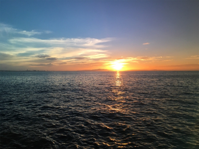 小さい、、、初物!!!