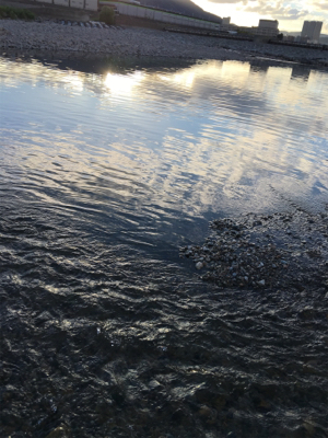 夕まづめナマズ釣り