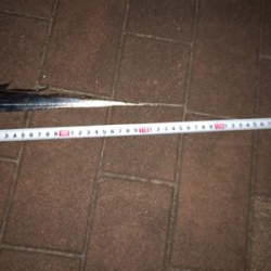 ドラゴンおるやん!!!!!