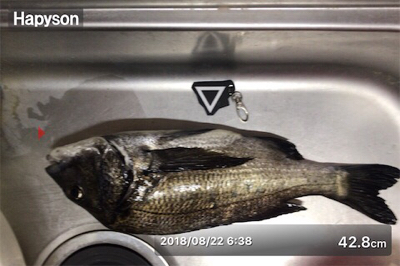 トップウォーター