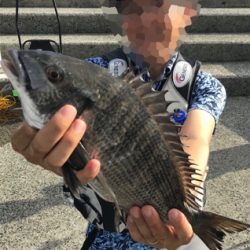 有網代港フカセ釣り釣果