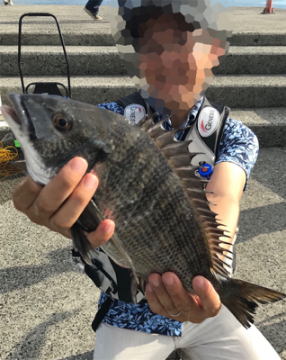 有網代港フカセ釣り釣果