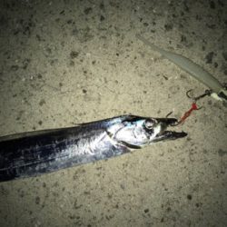 やっと刀狩りが開幕しましたね