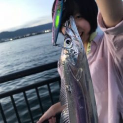 牙物系スタート？