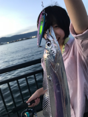 牙物系スタート？