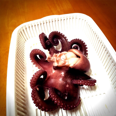 タチウオフィーバー！！邪道も？！