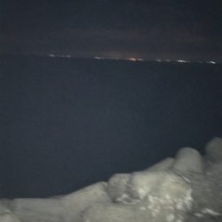 台風後の太刀魚調査